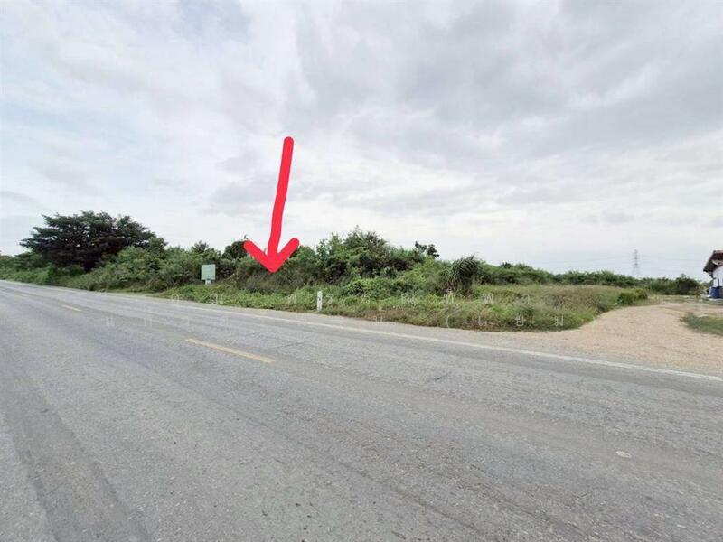 ขาย - ที่ดินเปล่า 153 ตร.ว. ที่ดิน ถนนมาลัยแมน ใกล้มหาวิทยาลัยเกษตรศาสตร์วิทยาเขตกำแพงแสน, นครปฐม