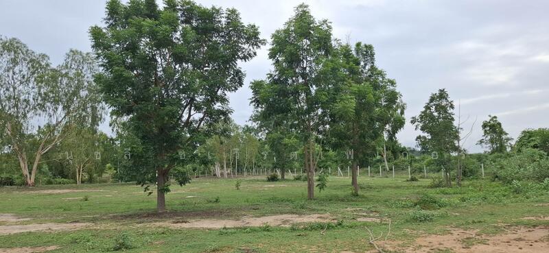 ขาย - ใกล้หาดเขากระโหลก, ประจวบคีรีขันธ์