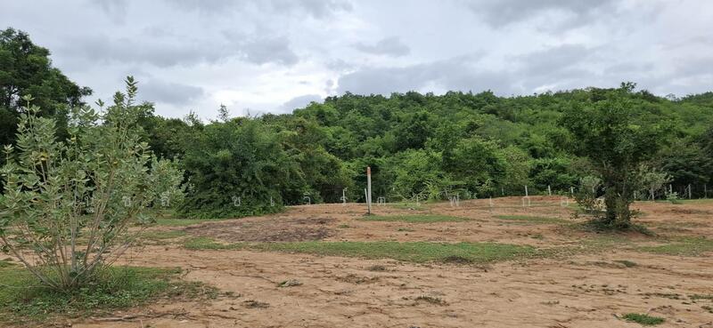 ขาย - ใกล้หาดเขากระโหลก, ประจวบคีรีขันธ์