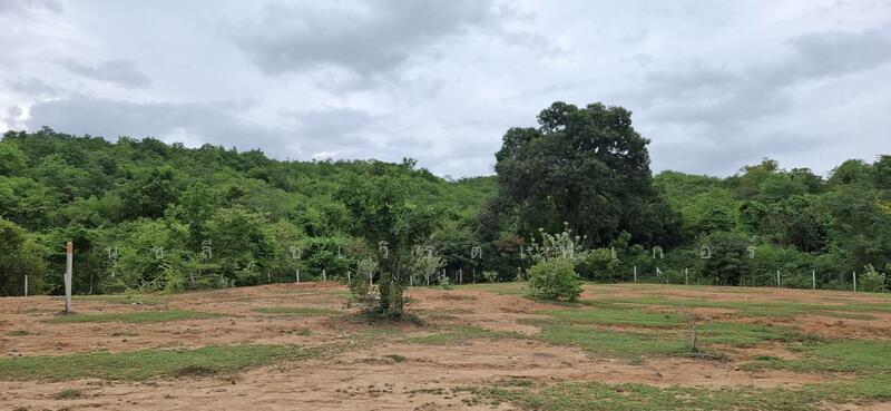 ขาย - ใกล้หาดเขากระโหลก, ประจวบคีรีขันธ์