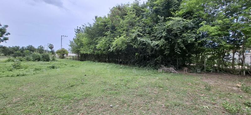 ขาย - ใกล้หาดเขากระโหลก, ประจวบคีรีขันธ์