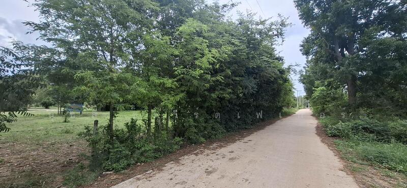 ขาย - ใกล้หาดเขากระโหลก, ประจวบคีรีขันธ์