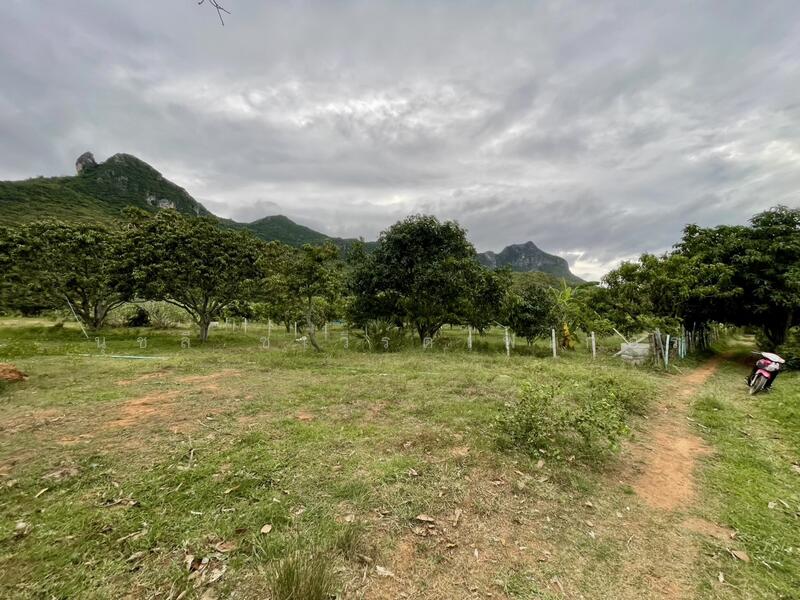 ขาย - เนินชายเขา สามร้อยยอด, ประจวบคีรีขันธ์