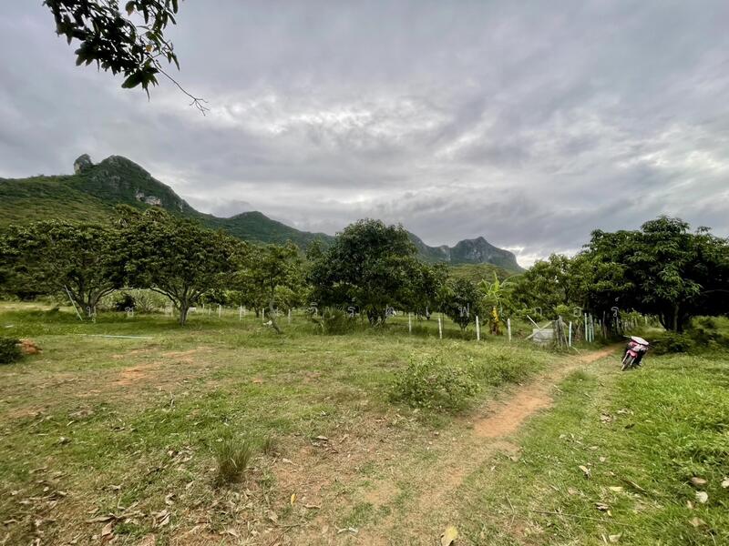 ขาย - เนินชายเขา สามร้อยยอด, ประจวบคีรีขันธ์