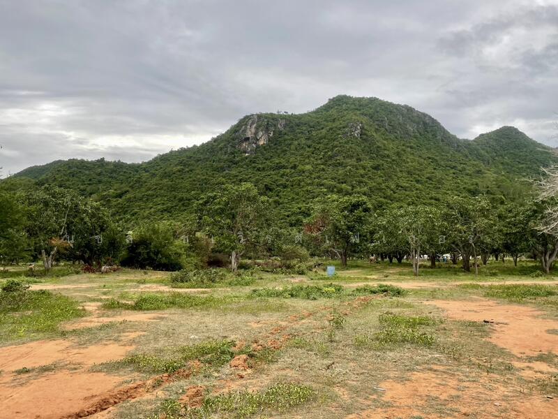 ขาย - เนินชายเขา สามร้อยยอด, ประจวบคีรีขันธ์