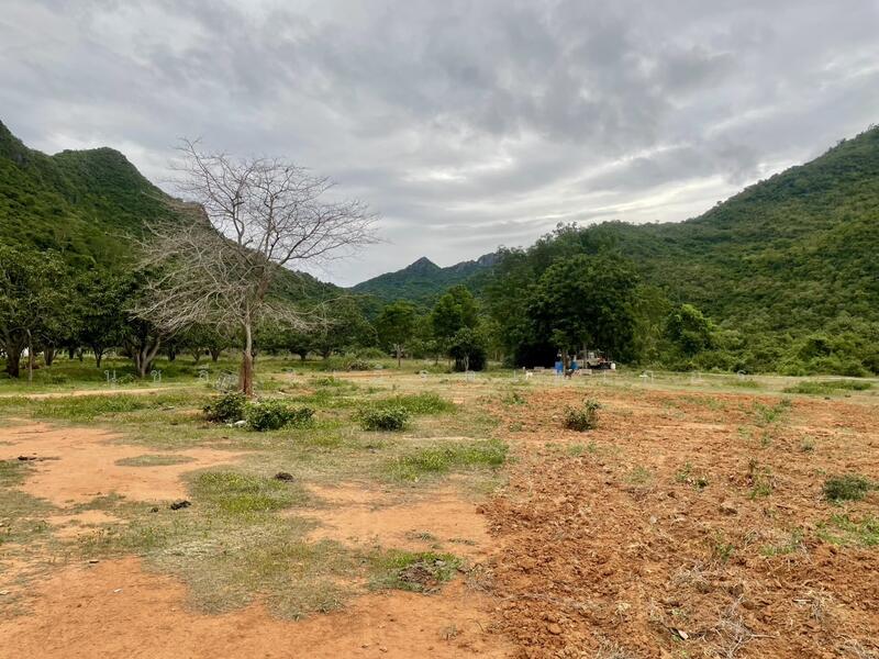 ขาย - เนินชายเขา สามร้อยยอด, ประจวบคีรีขันธ์