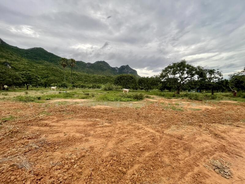 ขาย - เนินชายเขา สามร้อยยอด, ประจวบคีรีขันธ์