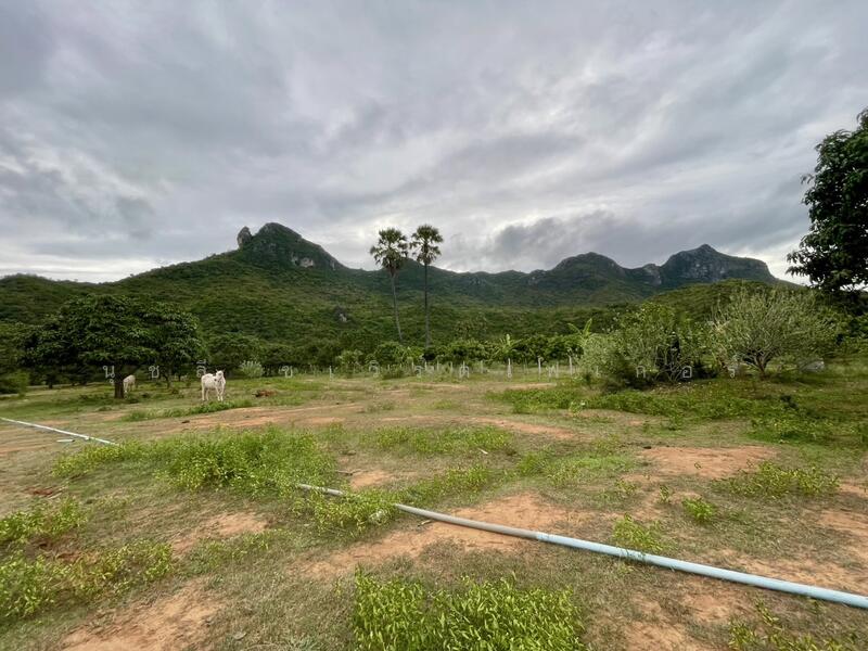 ขาย - เนินชายเขา สามร้อยยอด, ประจวบคีรีขันธ์