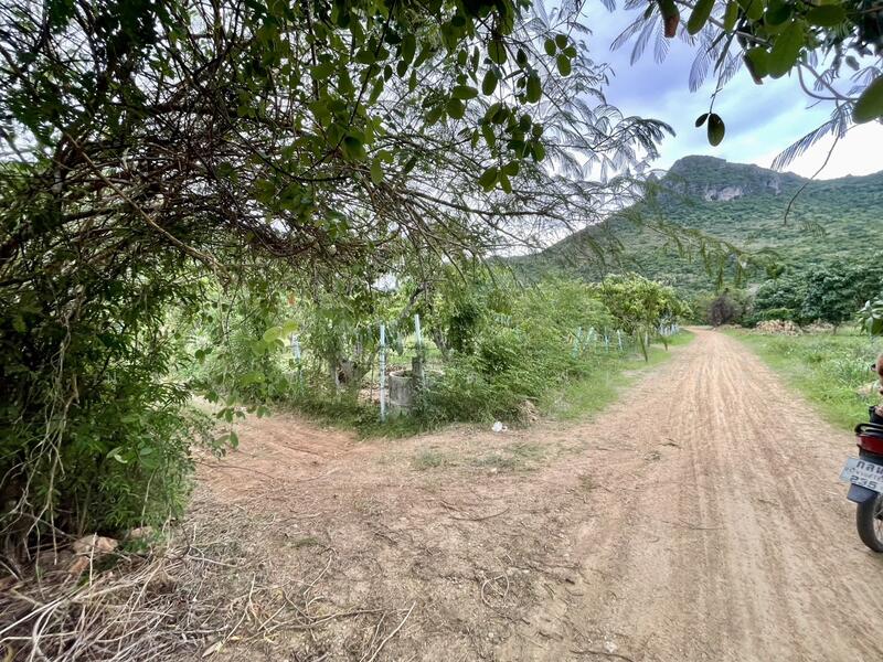 ขาย - เนินชายเขา สามร้อยยอด, ประจวบคีรีขันธ์