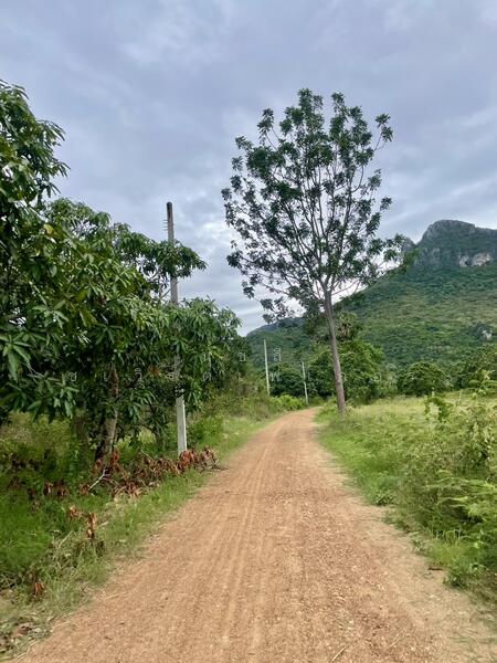 ขาย - เนินชายเขา สามร้อยยอด, ประจวบคีรีขันธ์