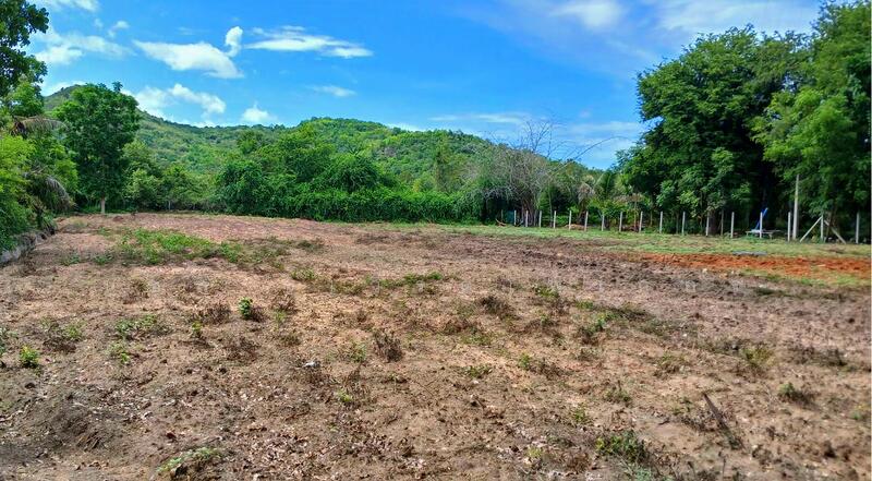 ขาย - ปากน้ำปราณ, ประจวบคีรีขันธ์