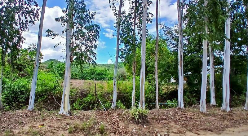 ขาย - ปากน้ำปราณ, ประจวบคีรีขันธ์