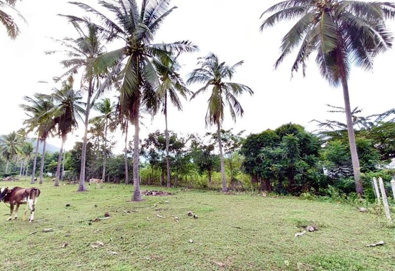 For Sale - ซอยสามร้อยยอด 23, Prachuap Khiri Khan