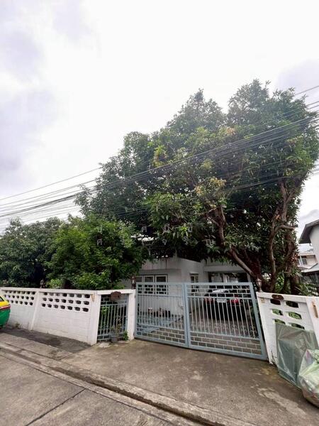 ให้เช่า - Quaritz Rama 9 : ควาริทซ์ พระราม9, กรุงเทพ