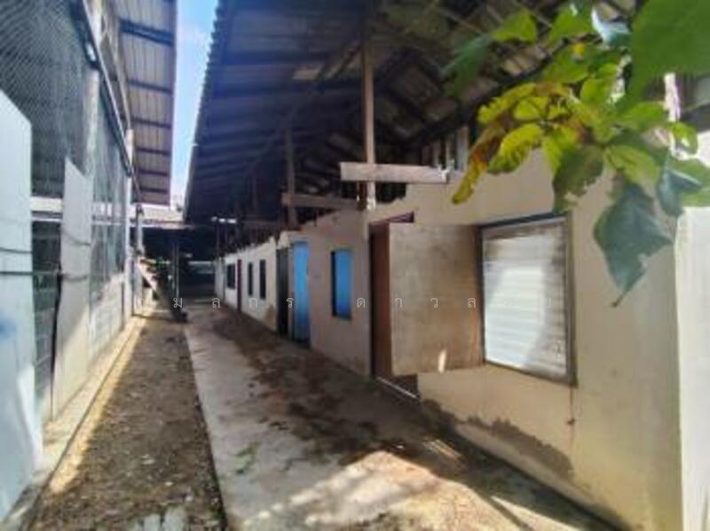 ขาย - ที่ดิน สำโรง สมุทรปราการ, สมุทรปราการ