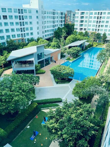 ขาย - Dcondo Nim : ดีคอนโด นิม, เชียงใหม่