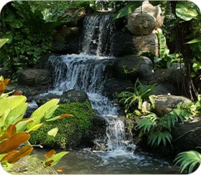 ขาย - โครงการ Wellness center, ปทุมธานี