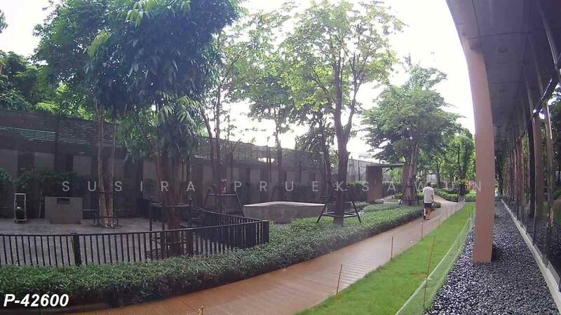 ให้เช่า - M Jatujak : เอ็ม จตุจักร, กรุงเทพ