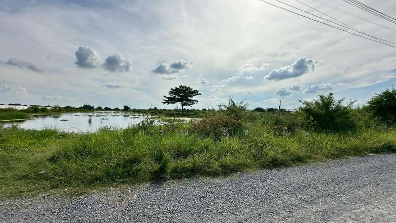 ขาย - ที่ดินเปล่า ถ.สารีบุตร แขวงทับยาว เขตลาดกระบัง กรุงเทพฯ, กรุงเทพ