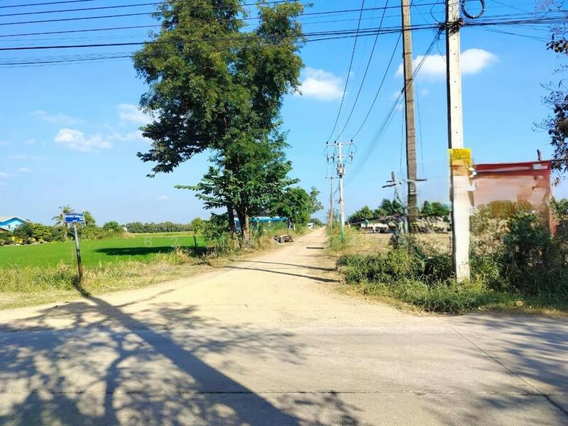 ขาย - ที่ดินเปล่า 389 ตร.ว. ถนนคลองหกตะวันออก52 คลองหลวง ปทุมธานี, ปทุมธานี