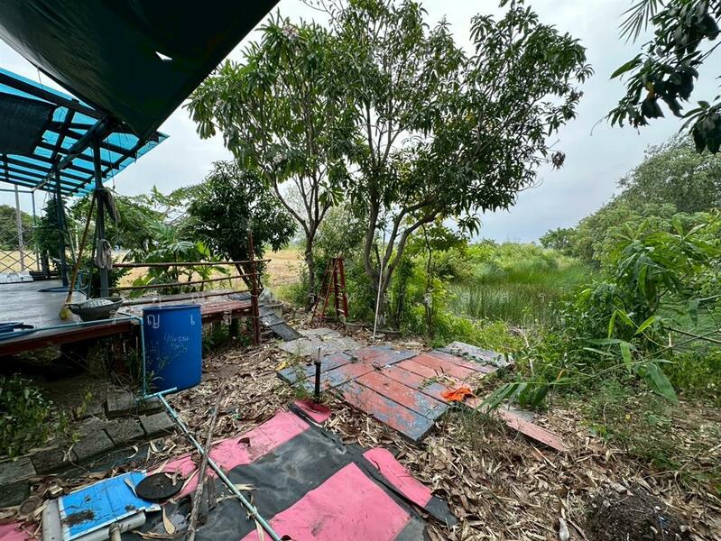 ขาย - บ้านเดี่ยว + ที่ดิน 2 ชั้น 316.4 ตร.ว. บ้านเดี่ยว + ที่ดิน ถนนปทุมธานี-บางปะหัน ใกล้โรงพยาบาลสามโคก, ปทุมธานี