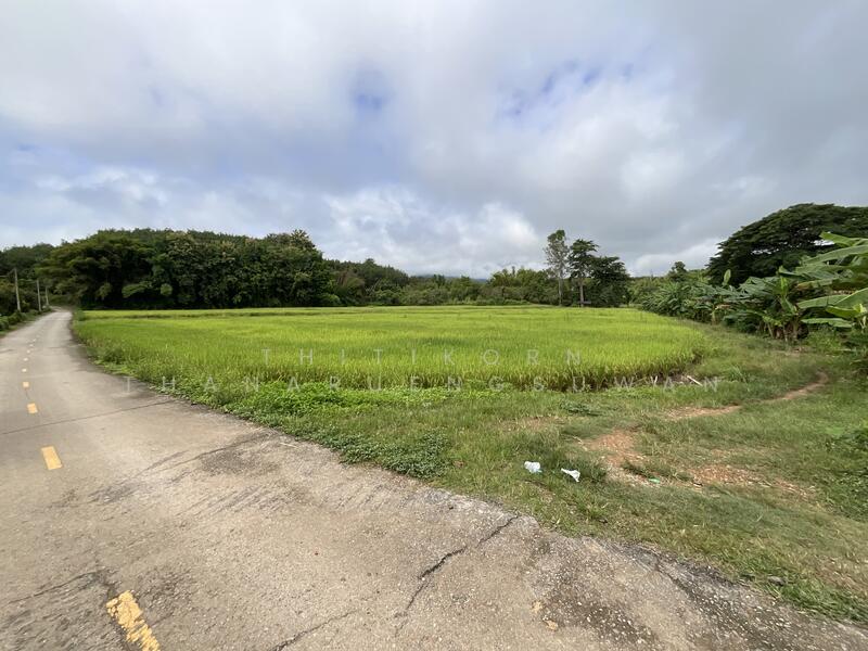 For Sale - ตำบลบัวใหญ่ อำเภอนาน้อย จังหวัดน่าน, Nan