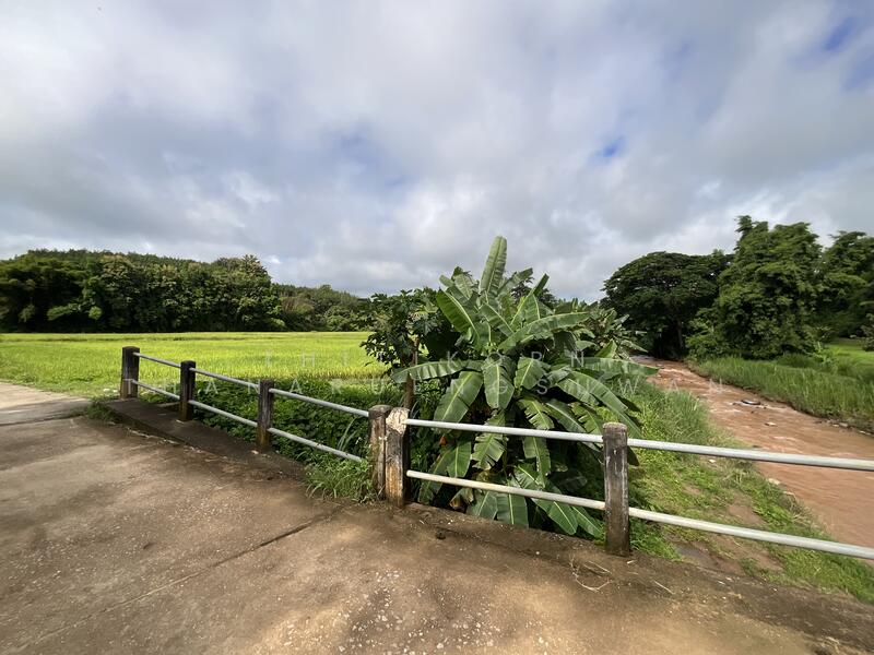 For Sale - ตำบลบัวใหญ่ อำเภอนาน้อย จังหวัดน่าน, Nan