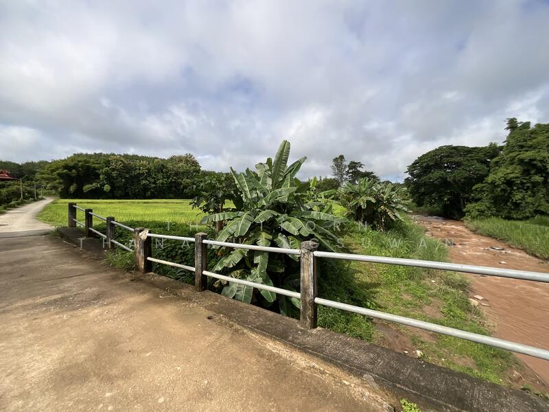 For Sale - ตำบลบัวใหญ่ อำเภอนาน้อย จังหวัดน่าน, Nan