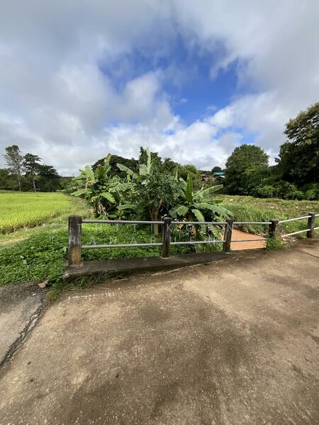 For Sale - ตำบลบัวใหญ่ อำเภอนาน้อย จังหวัดน่าน, Nan