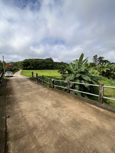 For Sale - ตำบลบัวใหญ่ อำเภอนาน้อย จังหวัดน่าน, Nan