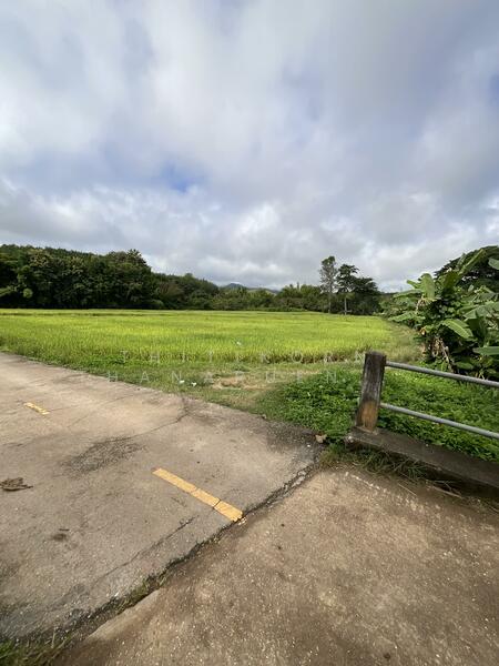 For Sale - ตำบลบัวใหญ่ อำเภอนาน้อย จังหวัดน่าน, Nan