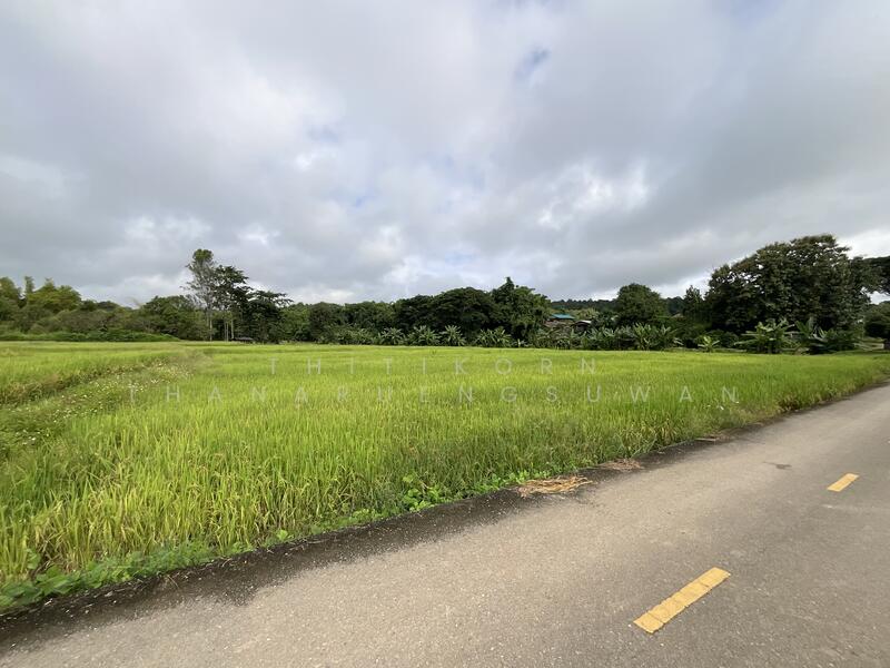 For Sale - ตำบลบัวใหญ่ อำเภอนาน้อย จังหวัดน่าน, Nan