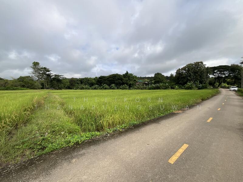 For Sale - ตำบลบัวใหญ่ อำเภอนาน้อย จังหวัดน่าน, Nan