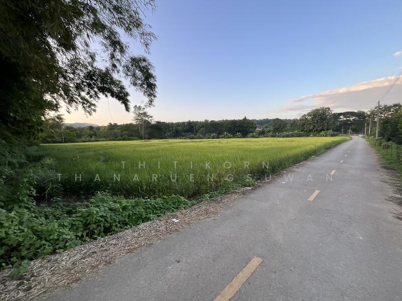 For Sale - ตำบลบัวใหญ่ อำเภอนาน้อย จังหวัดน่าน, Nan