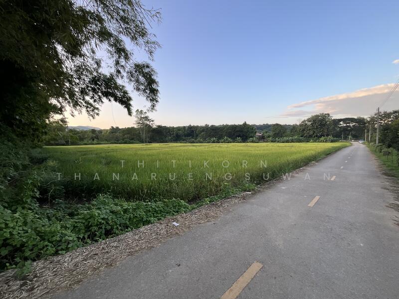 For Sale - ตำบลบัวใหญ่ อำเภอนาน้อย จังหวัดน่าน, Nan