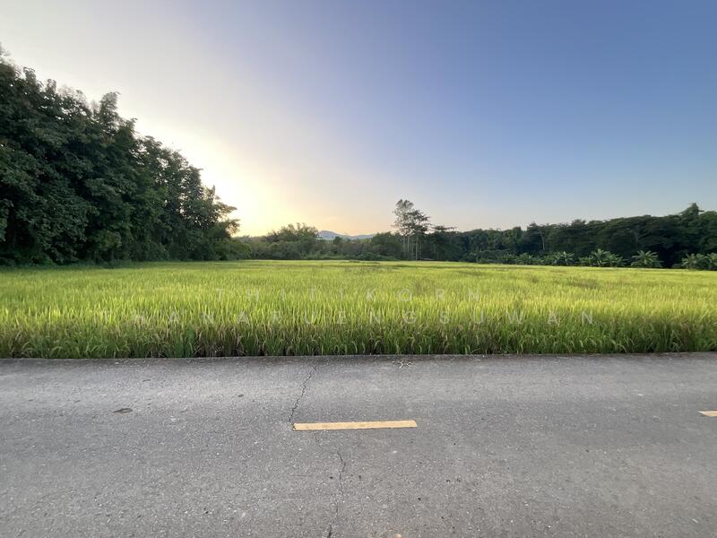 For Sale - ตำบลบัวใหญ่ อำเภอนาน้อย จังหวัดน่าน, Nan