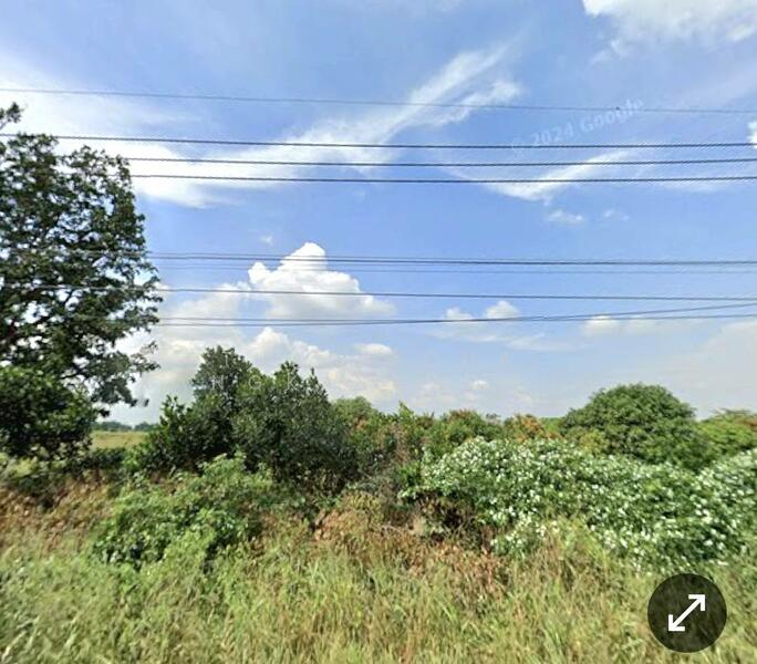 ขาย - ที่ดินสวนมะม่วง พร้อมบ้าน 1 หลัง ราชบุรี, ราชบุรี