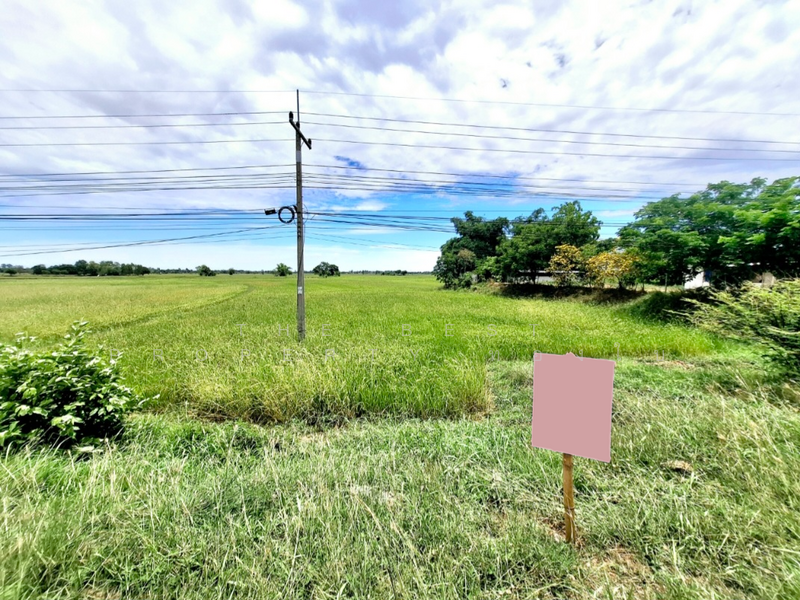 For Sale - ที่ดินจังหาร ร้อยเอ็ด, Roi Et