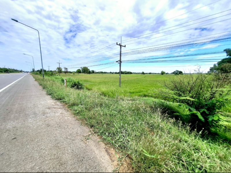 For Sale - ที่ดินจังหาร ร้อยเอ็ด, Roi Et