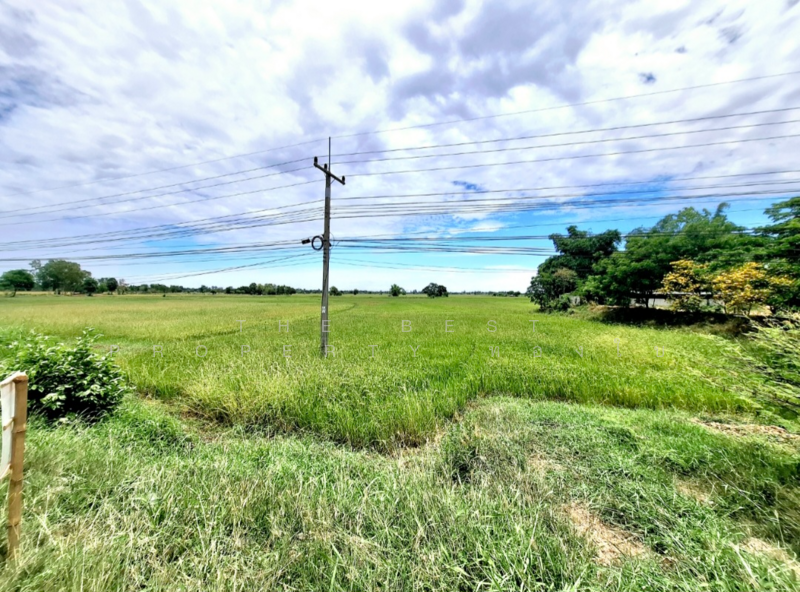 For Sale - ที่ดินจังหาร ร้อยเอ็ด, Roi Et
