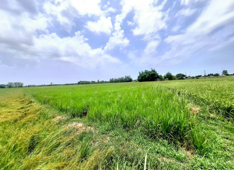 ขาย - ที่ดินจังหาร ร้อยเอ็ด, ร้อยเอ็ด