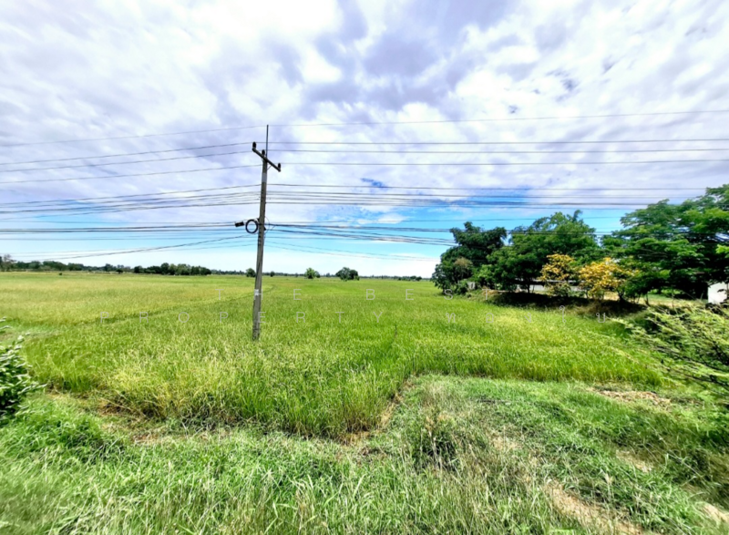 For Sale - ที่ดินจังหาร ร้อยเอ็ด, Roi Et