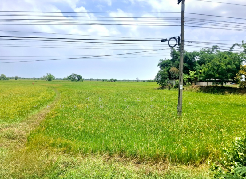 ขาย - ที่ดินจังหาร ร้อยเอ็ด, ร้อยเอ็ด