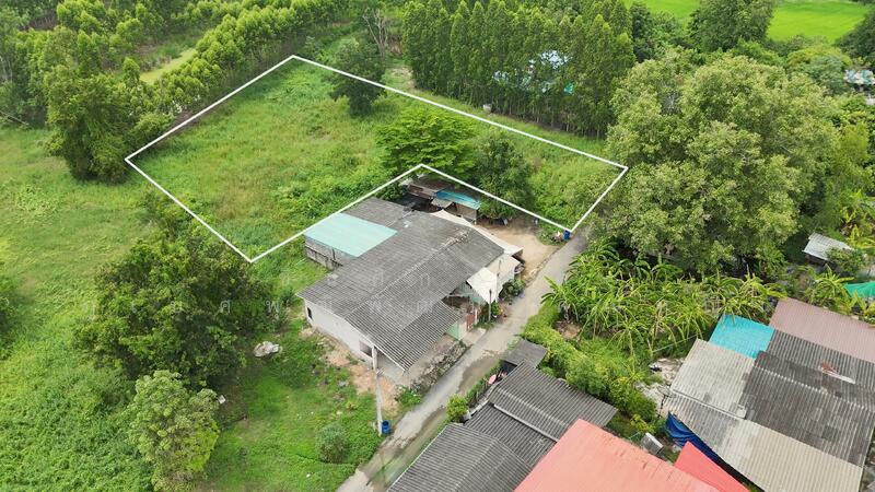 ขาย - แยกการไฟฟ้าพนัสนิคม, ชลบุรี