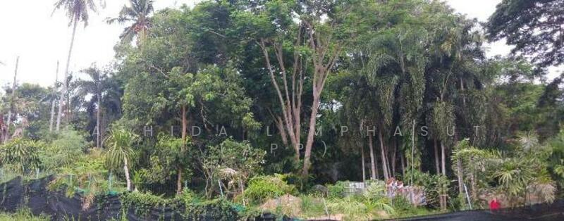 For Sale - Land for Sale In Pornprapanimit, Chon Buri (Pattaya)