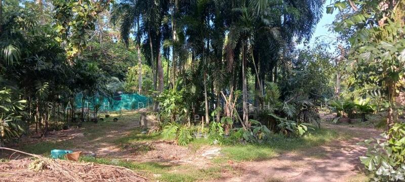 For Sale - Land for Sale In Pornprapanimit, Chon Buri (Pattaya)