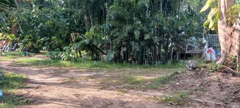For Sale - Land for Sale In Pornprapanimit, Chon Buri (Pattaya)