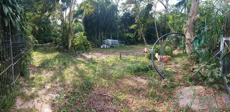 For Sale - Land for Sale In Pornprapanimit, Chon Buri (Pattaya)