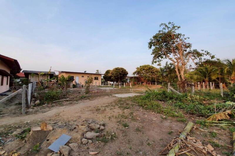 ขาย - บ้านหนองฮ่าง (แยกถนนพหลโยธิน ร.ร อนุบาลคำนวน), เชียงราย