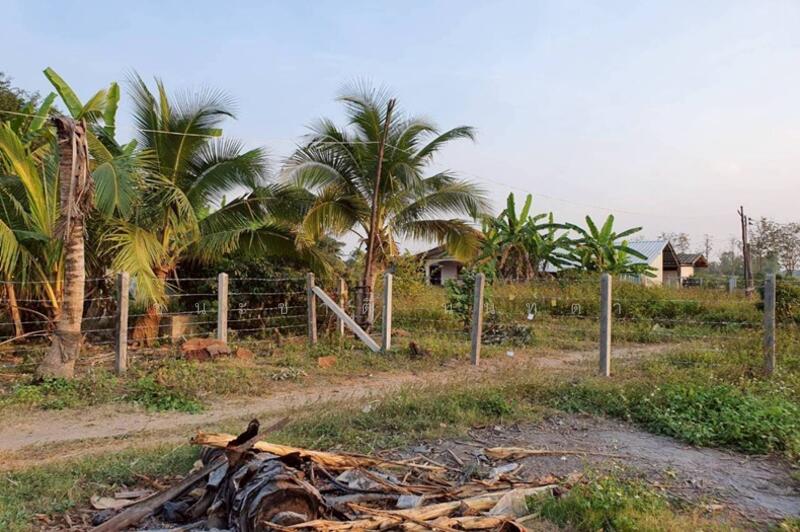 ขาย - บ้านหนองฮ่าง (แยกถนนพหลโยธิน ร.ร อนุบาลคำนวน), เชียงราย